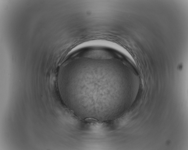 X0000092050235200709191127