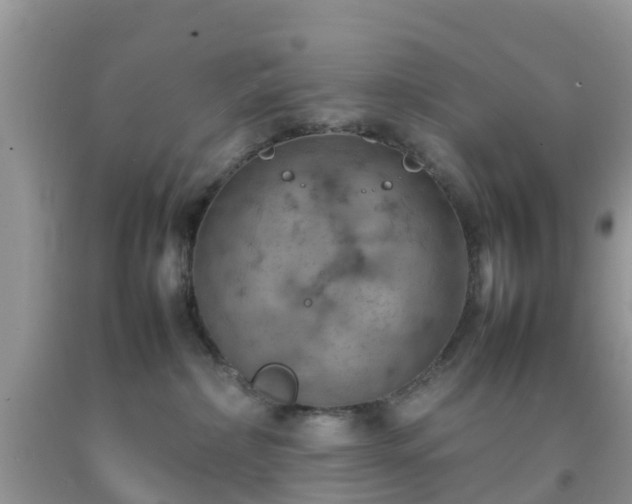 X0000092050236200709191127