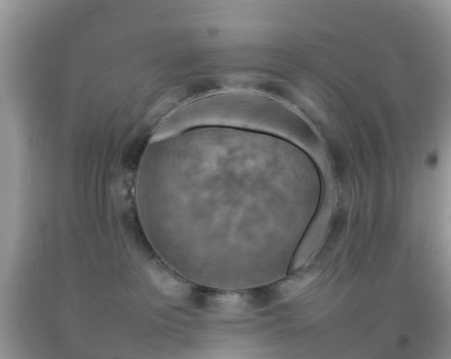 X0000092050237200709191127