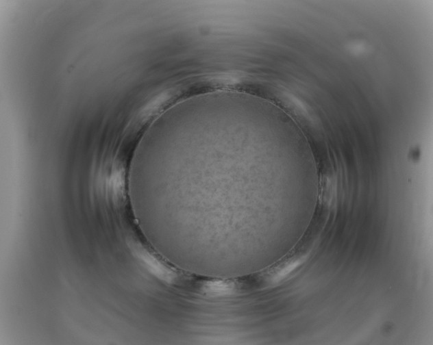 X0000092050238200709191127