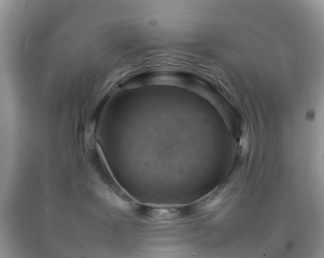 X0000092050239200709191127