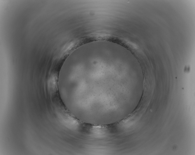 X0000092050240200709191127