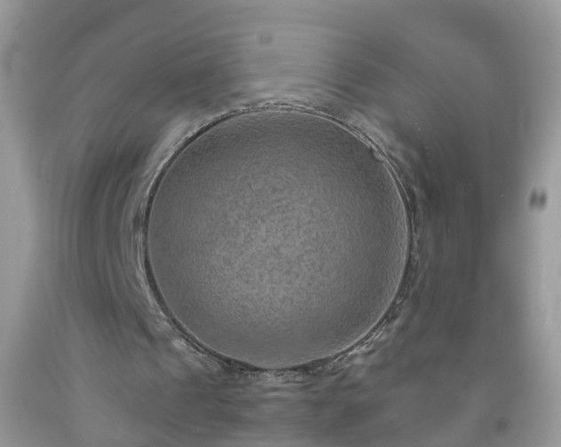 X0000092050241200709191126