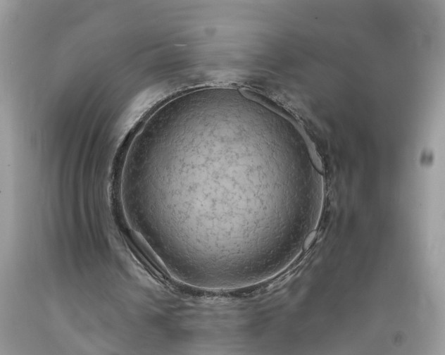 X0000092050242200709191126