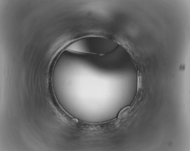 X0000092050243200709191126