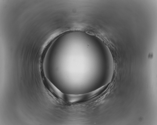 X0000092050244200709191126