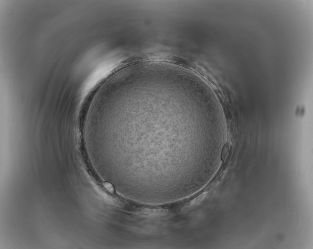 X0000092050245200709191126