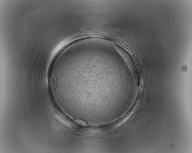 X0000092050246200709191126