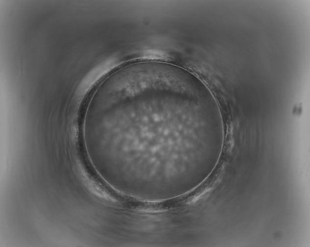 X0000092050247200709191126