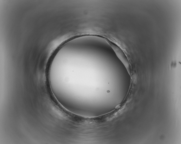 X0000092050248200709191126