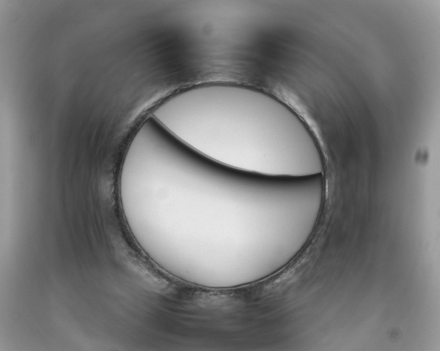 X0000092050249200709191126