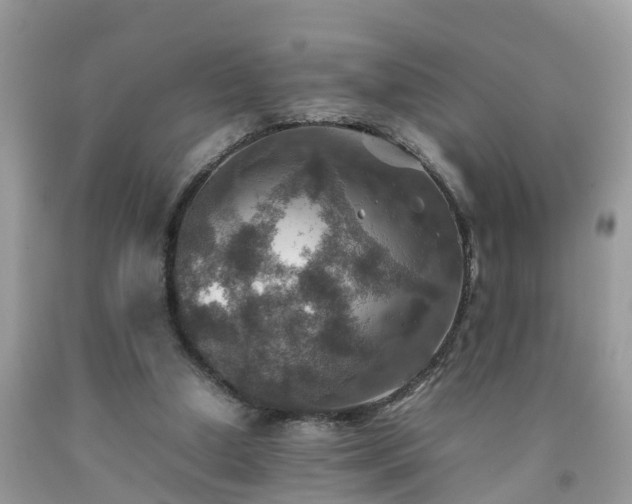 X0000092050250200709191126