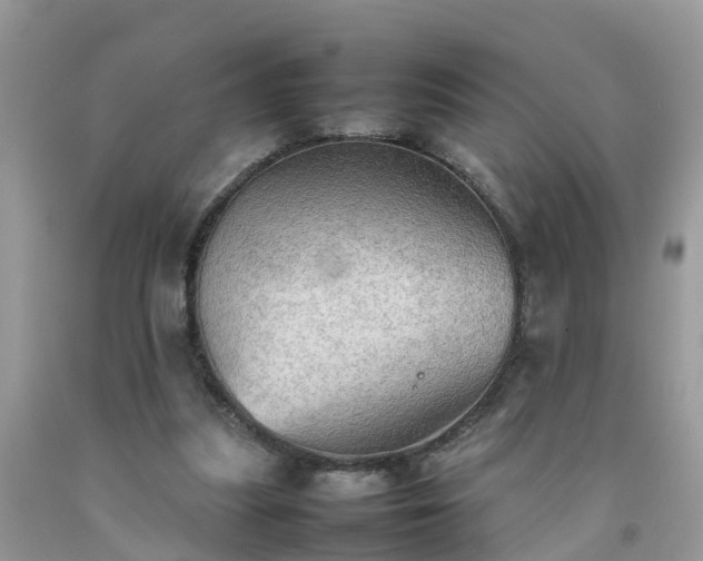 X0000092050251200709191126