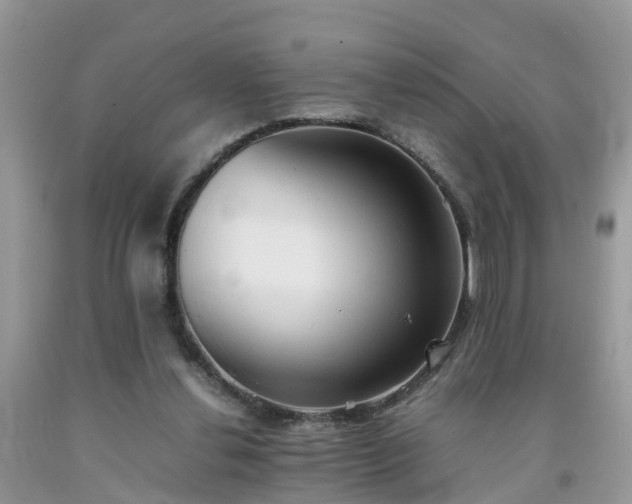 X0000092050252200709191126