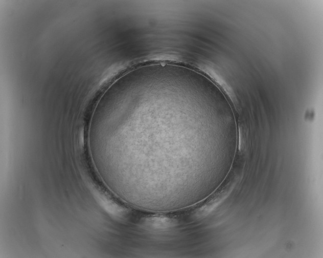 X0000092050253200709191126