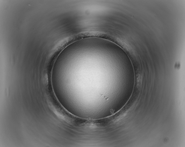 X0000092050254200709191126