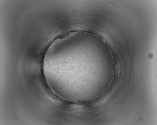 X0000092050255200709191126