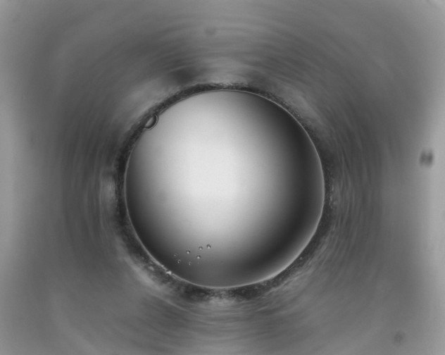 X0000092050256200709191126