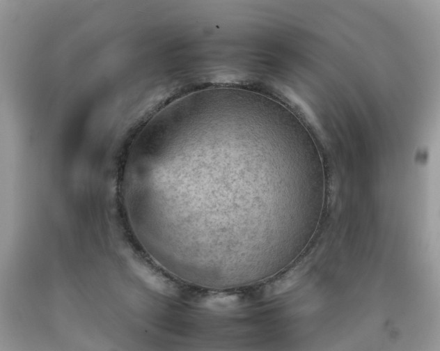 X0000092050257200709191126