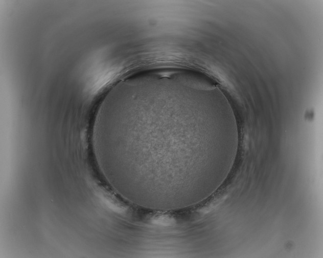 X0000092050258200709191126