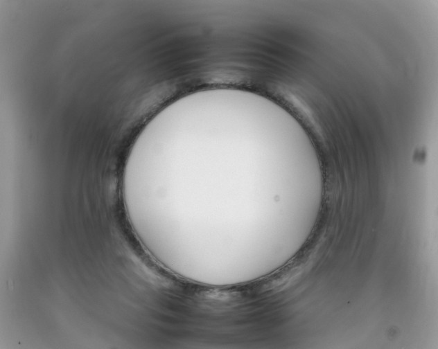 X0000092050261200709191127