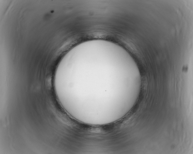 X0000092050262200709191127