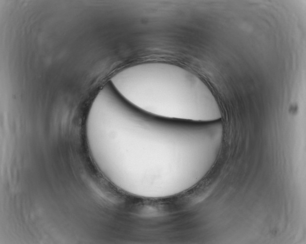 X0000092050263200709191127