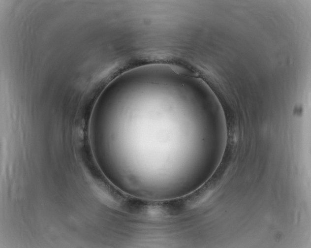 X0000092050264200709191127