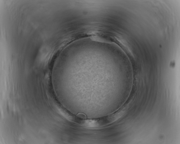 X0000092050265200709191127