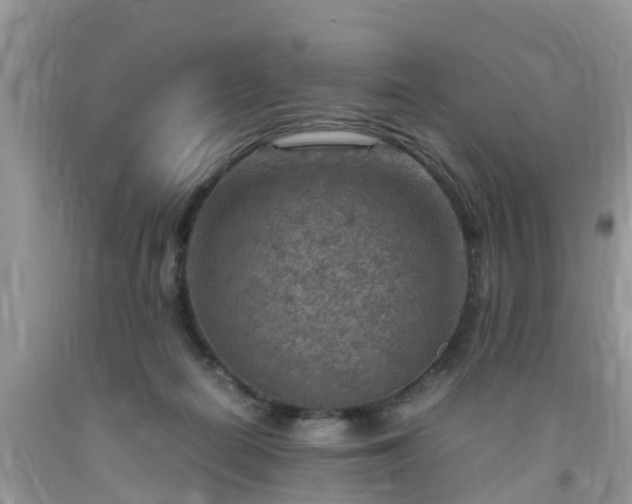 X0000092050266200709191127