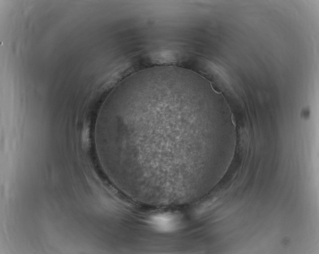 X0000092050267200709191127