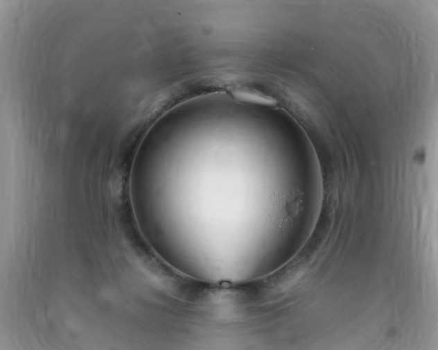 X0000092050268200709191127