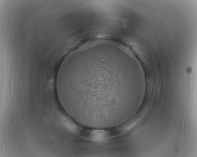 X0000092050269200709191127