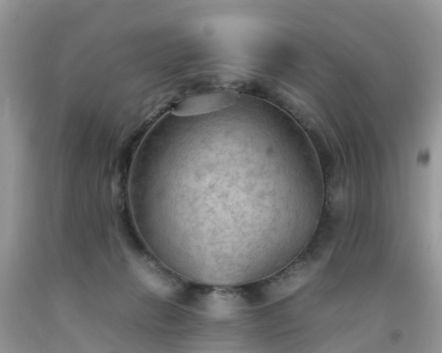 X0000092050270200709191127