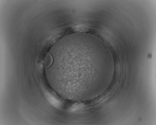 X0000092050271200709191127