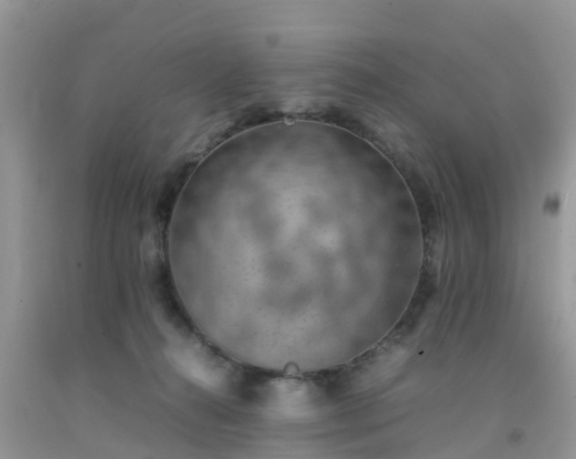 X0000092050272200709191127