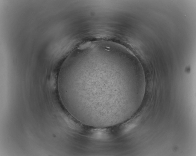 X0000092050273200709191127