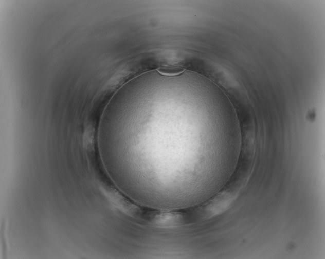 X0000092050274200709191127