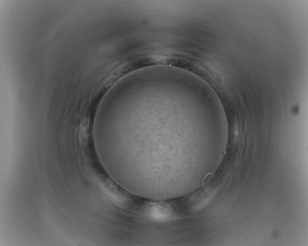 X0000092050275200709191127