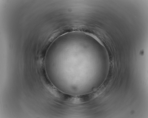 X0000092050276200709191127