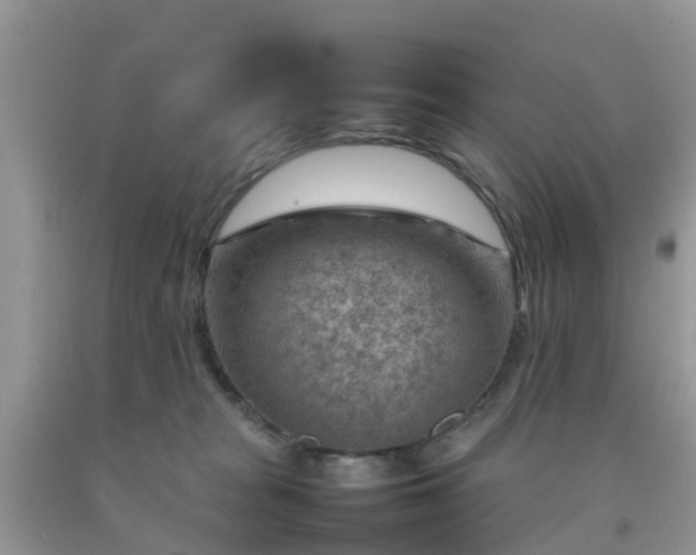 X0000092050277200709191127