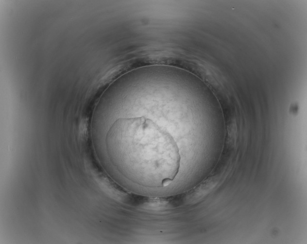 X0000092050278200709191127