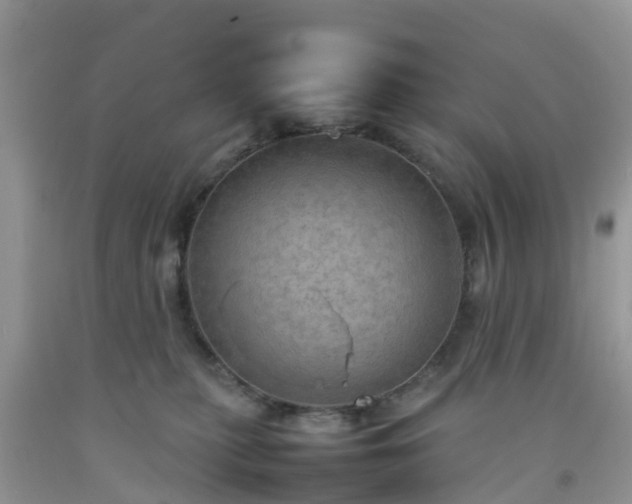 X0000092050279200709191127