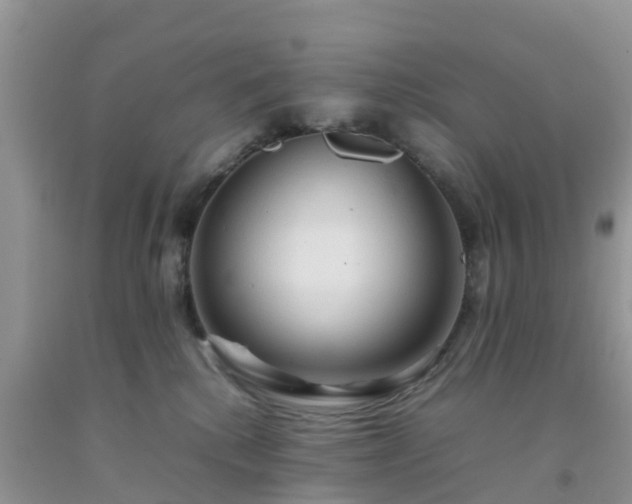 X0000092050280200709191127