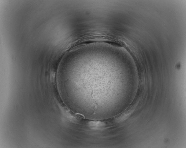 X0000092050281200709191127