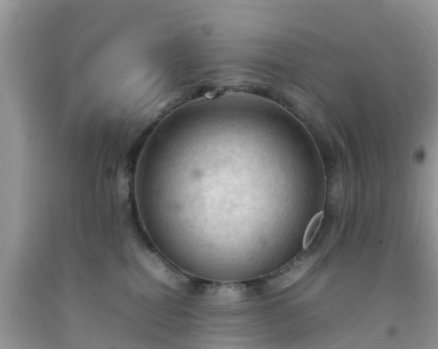 X0000092050282200709191127