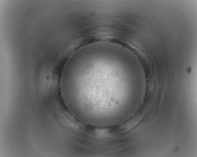 X0000092050283200709191127