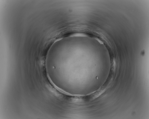 X0000092050284200709191127