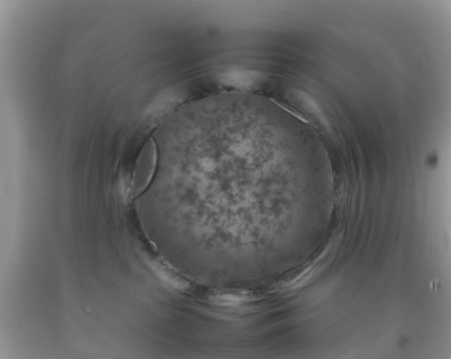 X0000092050285200709191127