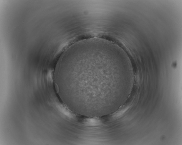 X0000092050286200709191127